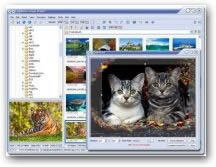 FastStone Image Viewer 3.3 Beta