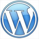 WordPress 2.3.1 Beta 1