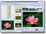 FastStone Image Viewer 2.9 Beta 2