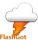 FlashGot 0.6.9