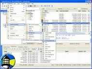 SmartFTP 2.0.996.31